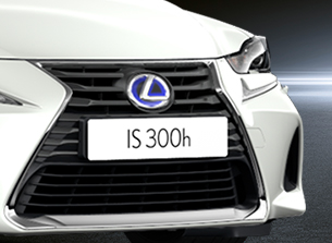 is 300h sport black spindle grille 