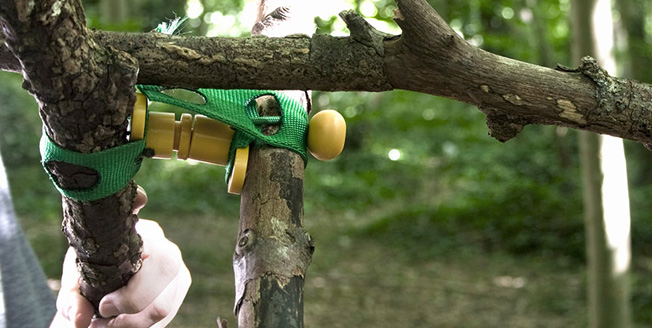 Sostegni e agganci incastrati tra i rami di un albero. Sostegni e agganci incastrati tra i rami di un albero