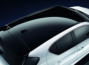 ct sports edition 002