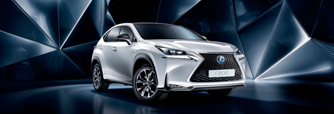 lexusmias 14 top