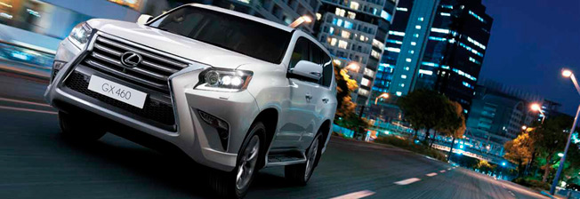 gx 460 top
