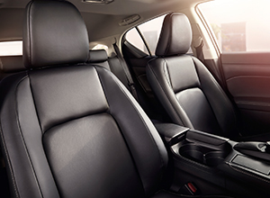 CT200h BusinessEdition Features TaharaUpholstery